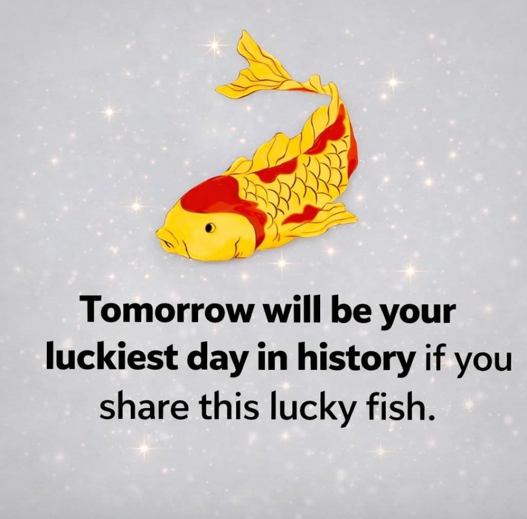 My Success Era ✨ tweet media