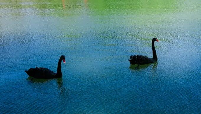 Amazing Weifang tweet media