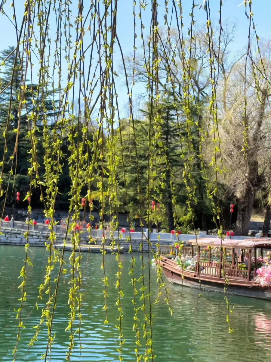 Amazing Weifang tweet media