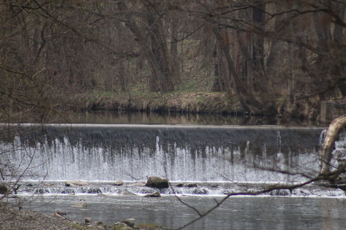 Frank N. der 2. tweet media