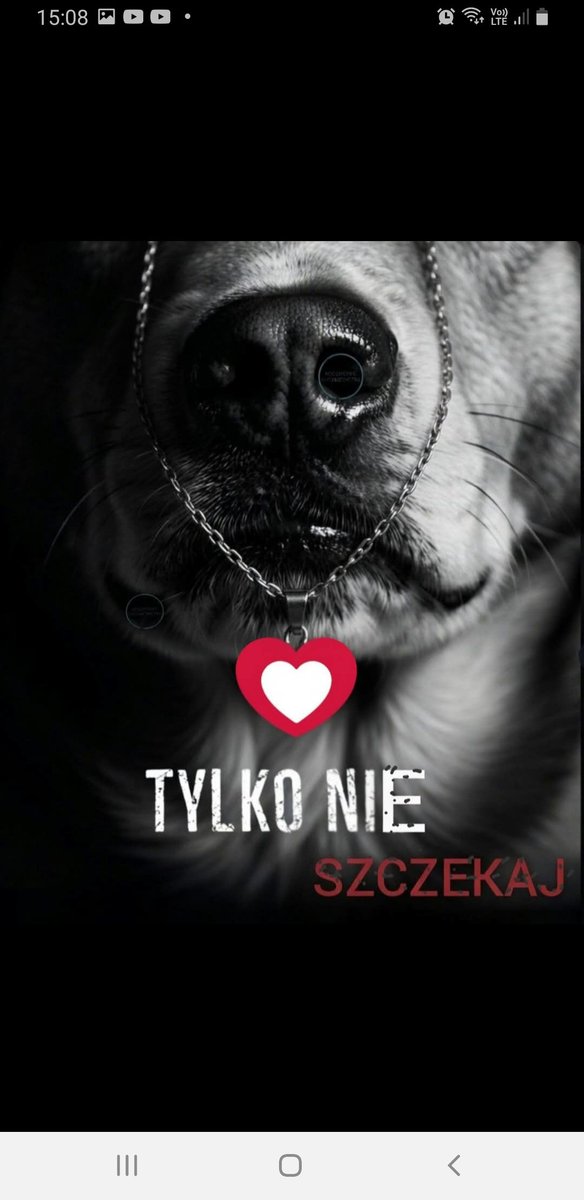 #michalrachon Dzień dobry. To jest dobre 👇