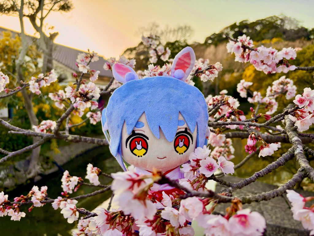 MultiCube26 tweet media