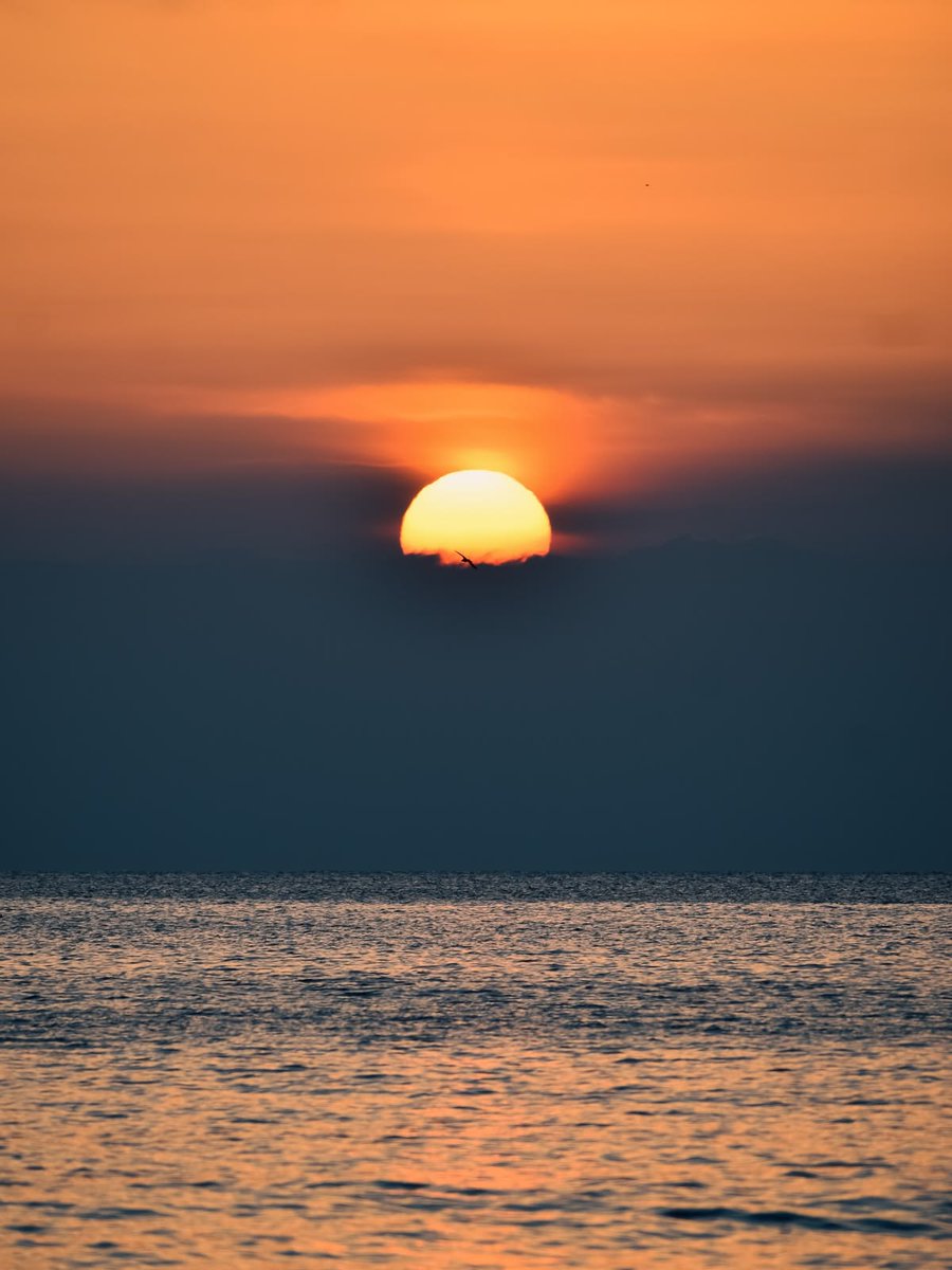 DavyTolmie tweet media