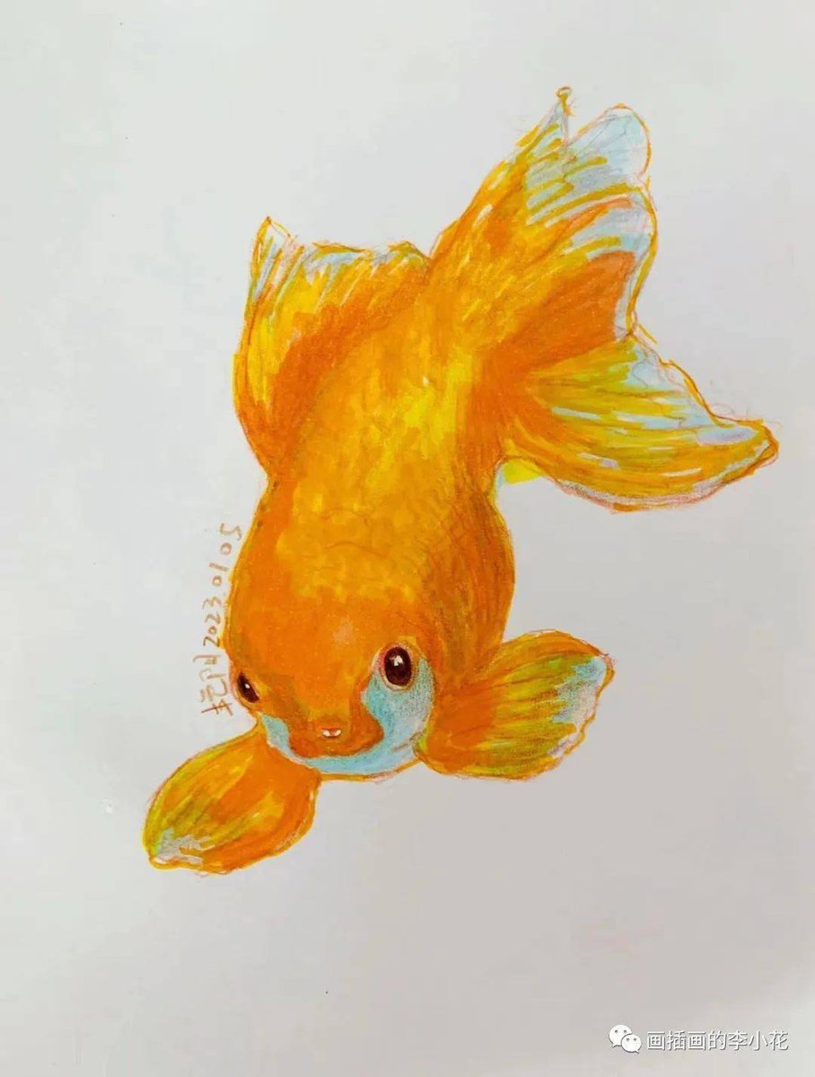 Esteban Mendiolaza tweet media