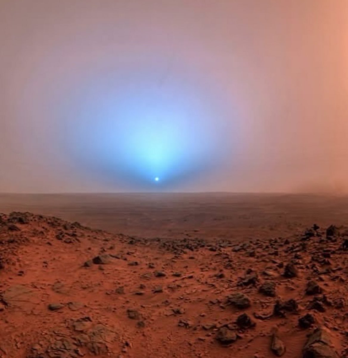 Veroni✨grace✨ tweet media