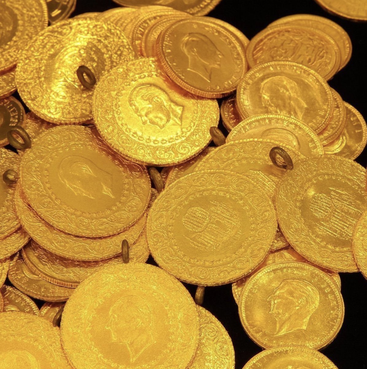 Pusholder tweet media