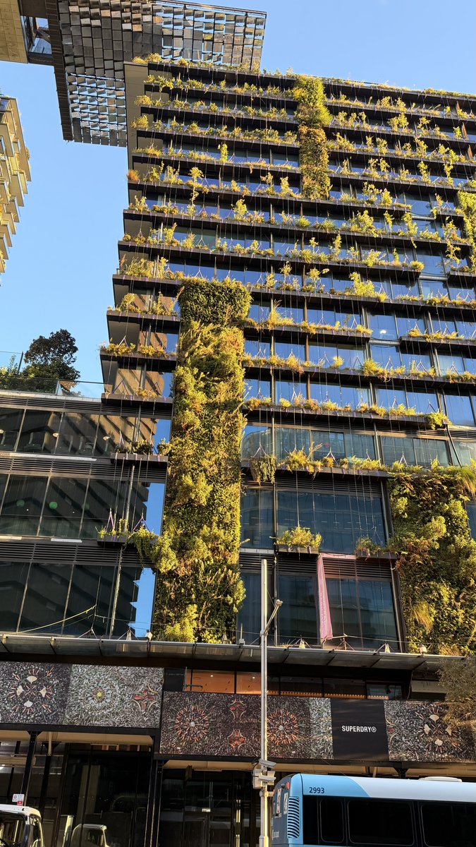 breko's tweet photo. Every pot plant still secured by ropes and scaffolding for days down below in case one falls on the public. What a disaster for this Building! #GreenWashing #CentralParkSydney https://t.co/AMlLDLcs0S
