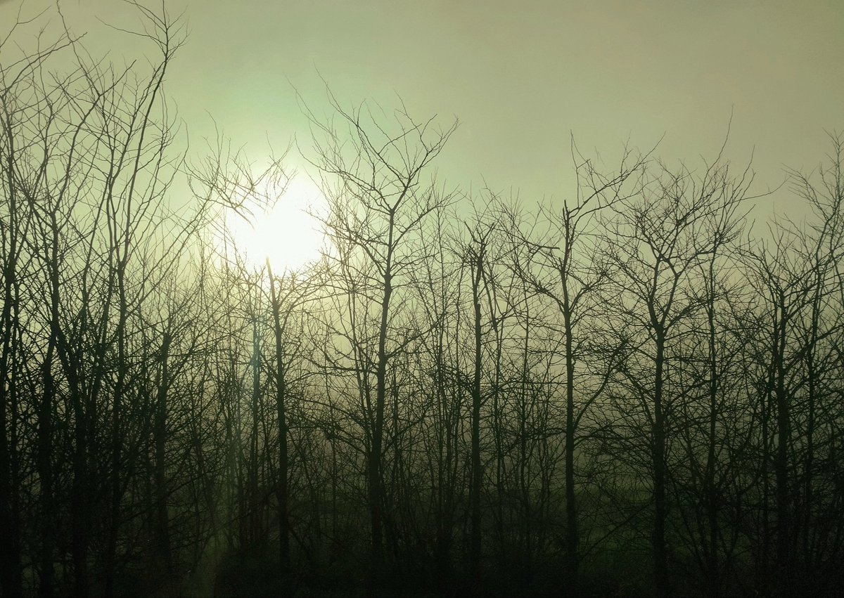 Mercedes Iglesias tweet media