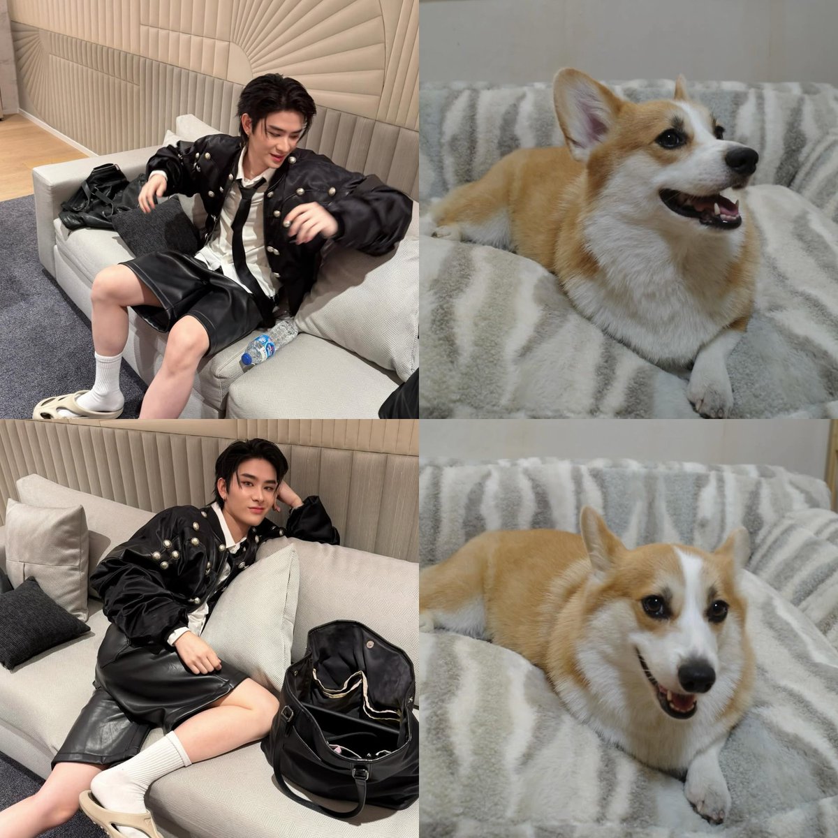 งี่ ~~ 🐶🐶