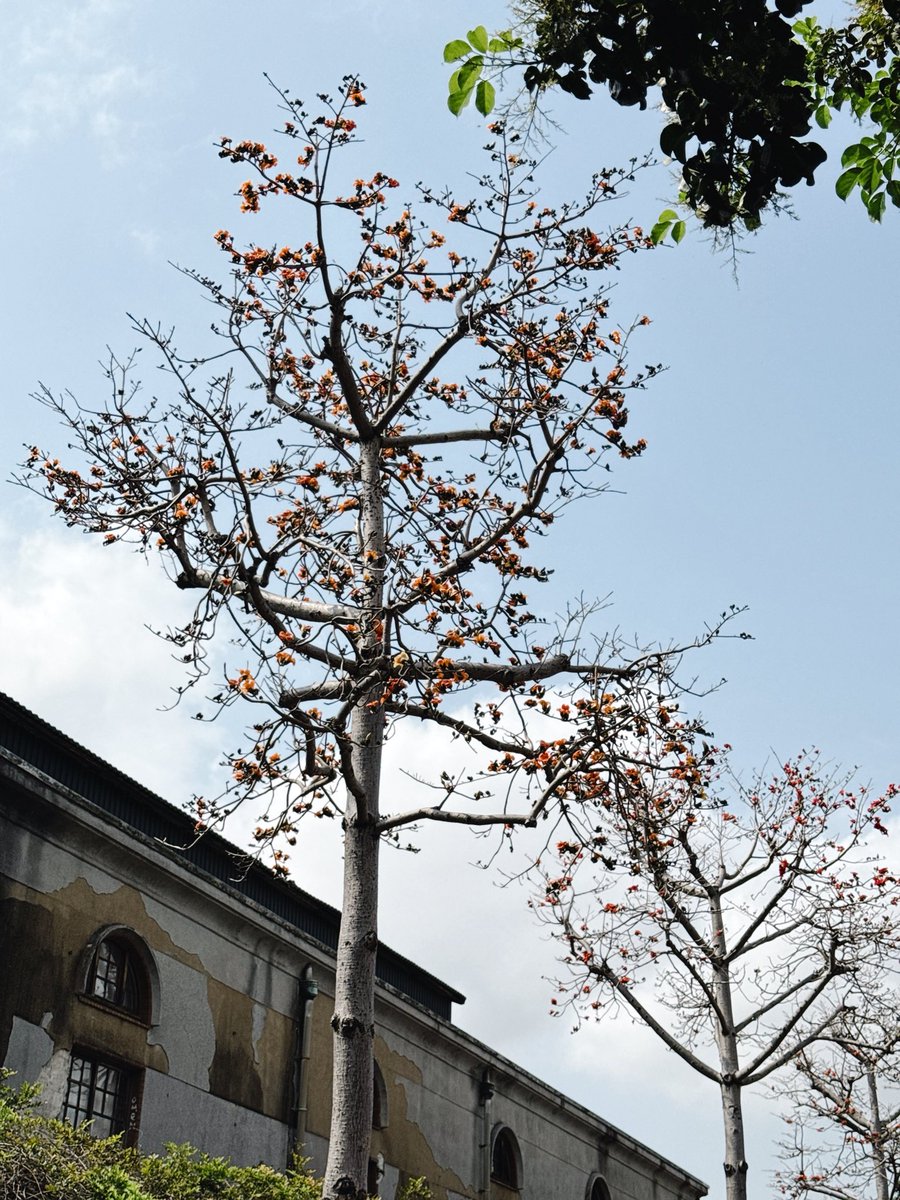 今年決定離開職場一下的護理屍 Johnny tweet media