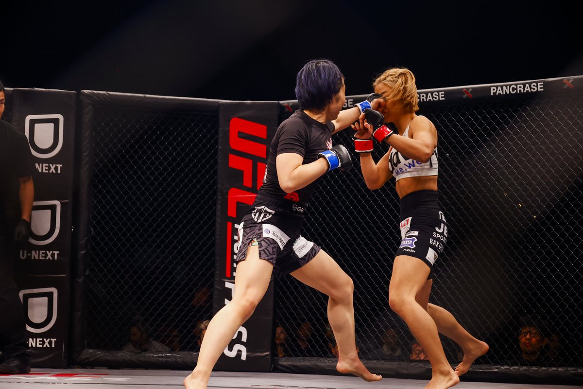 ＫＫフォトグラフ(カメラマン) tweet media