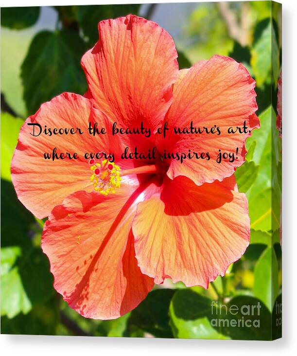 Joanne Carey Photography tweet media