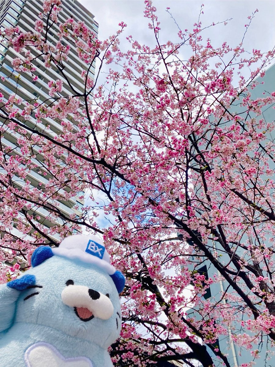 文化シヤッター株式会社【公式】 tweet media