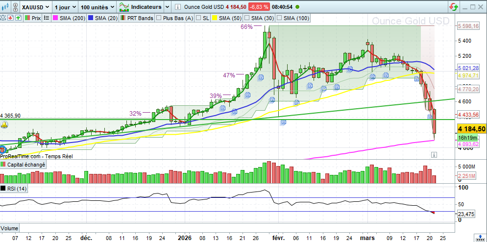 Bull et Bear 13 tweet media
