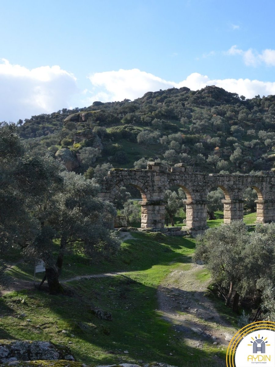 Visit Aydın tweet media