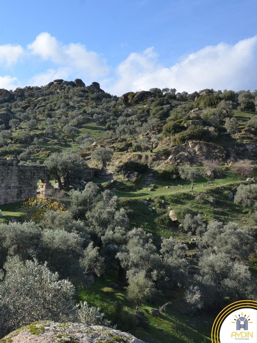 Visit Aydın tweet media