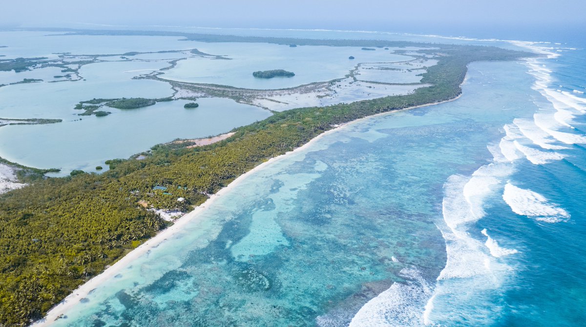 Dennis Kay II tweet media