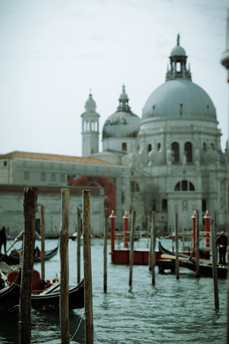 ostenemes tweet media