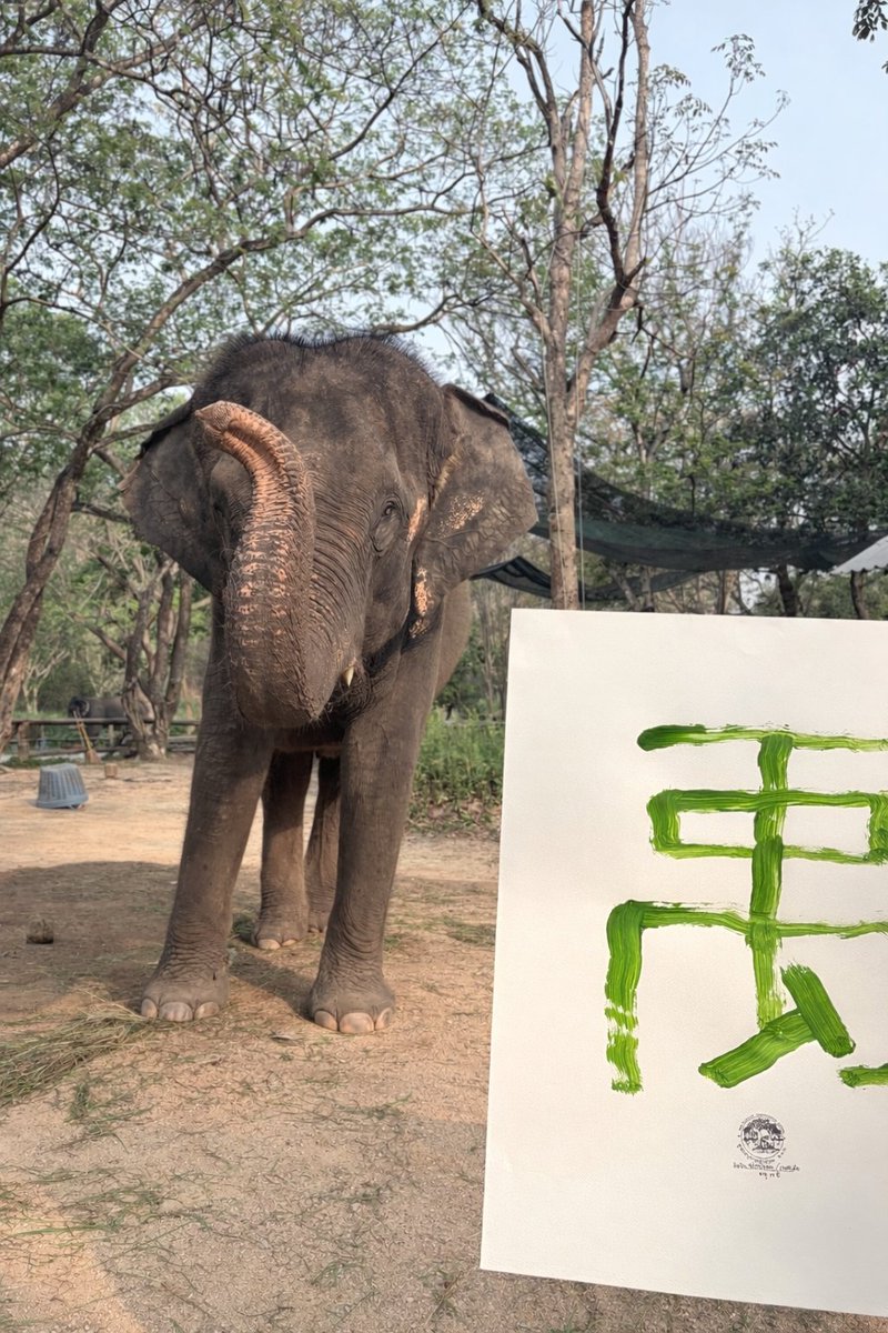 ZHANGZEYU THAILAND tweet media