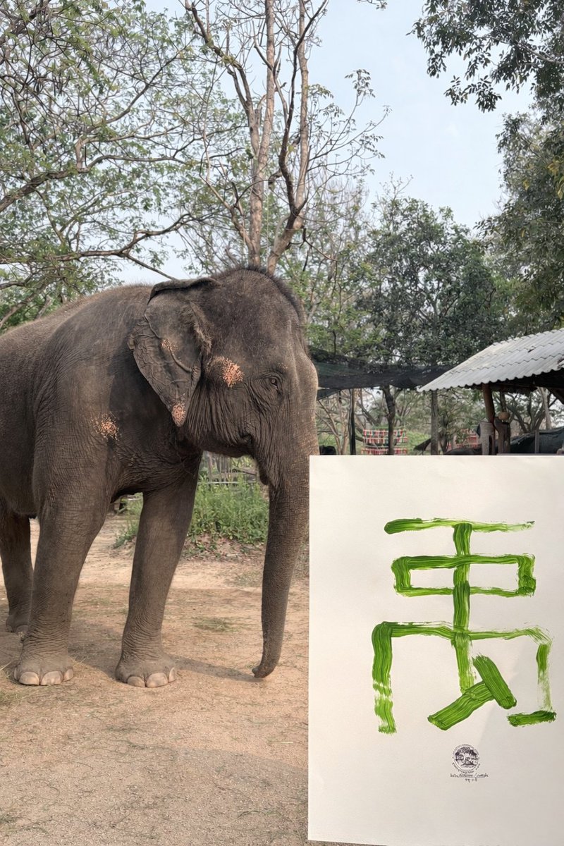 ZHANGZEYU THAILAND tweet media