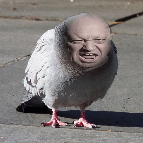 Based Leua tweet media