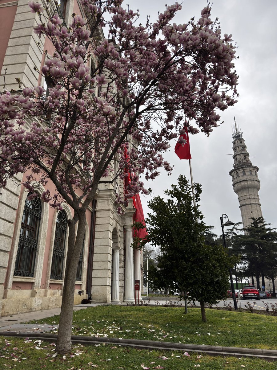 Baharın ince izleriyle yeni bir haftaya merhaba.🌺