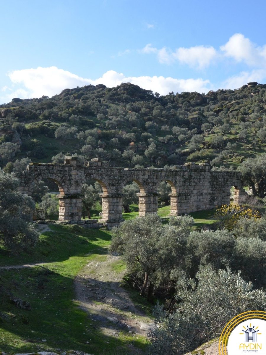 Visit Aydın tweet media