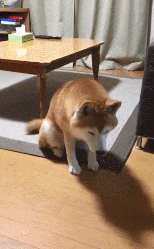 Tad Mane tweet media