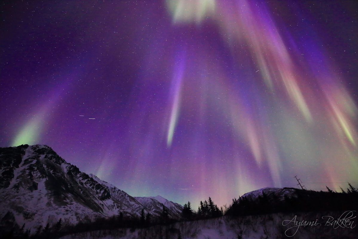 Ayumi Yaegashi Bakken tweet media