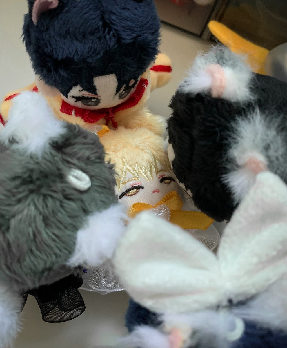 띨찍(백정) tweet media