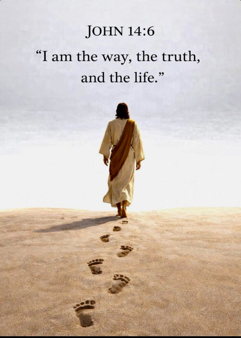 Jules 🏢🏠🇬🇧🇺🇸 tweet media