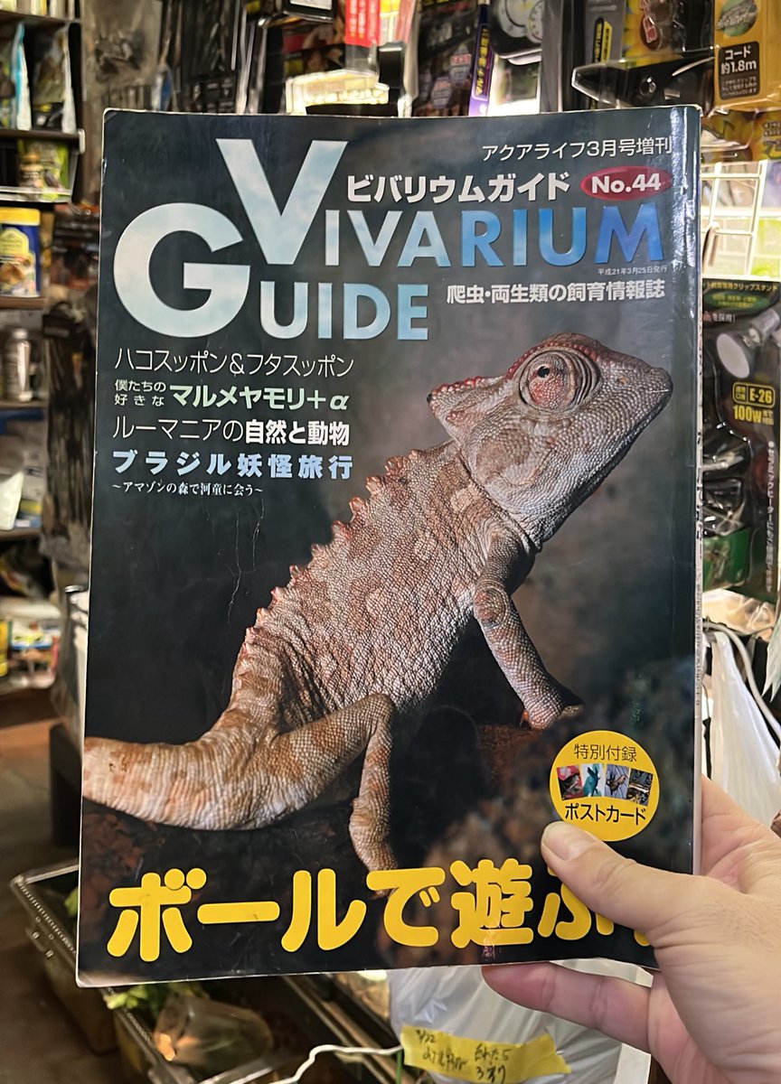 @eggrep2 tweet media