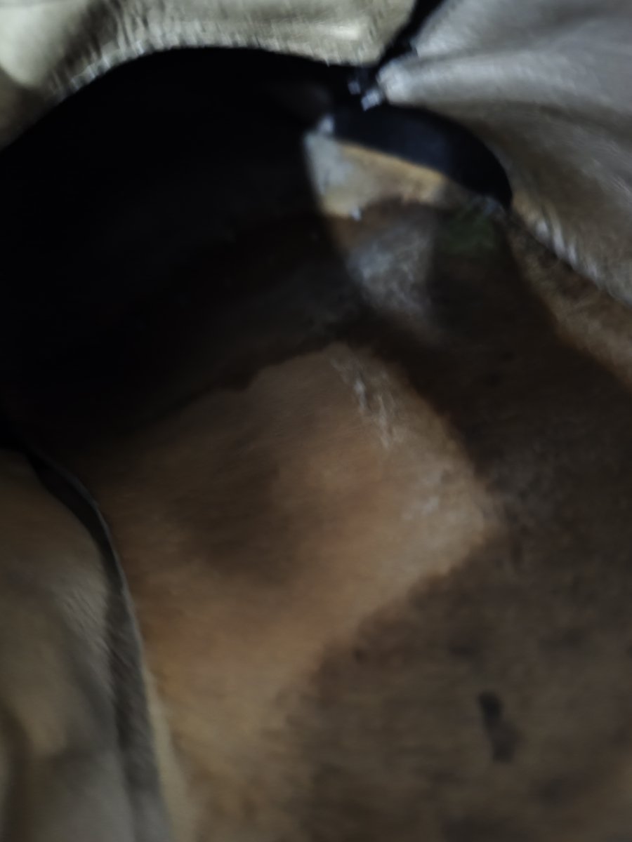 景上添花 tweet media