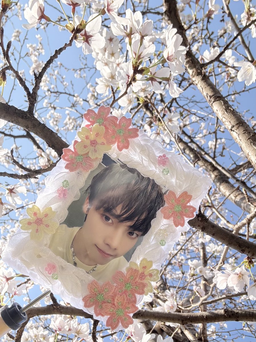 Kママ🐉 tweet media