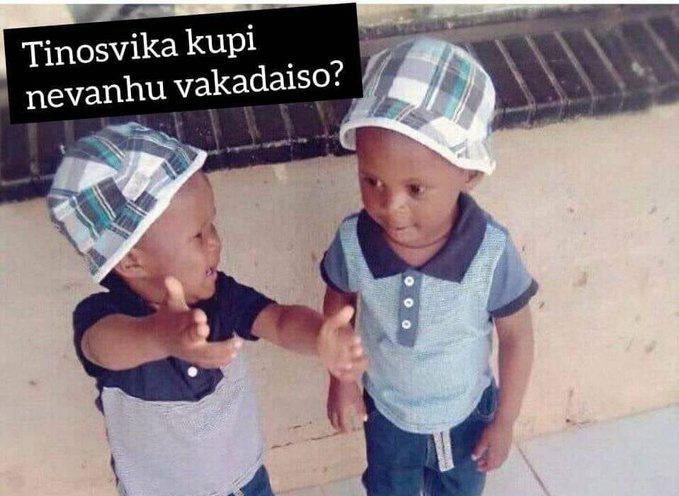 Simba_oneblow tweet media