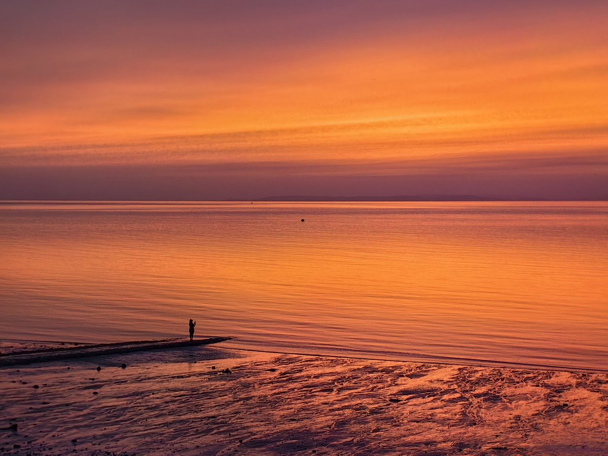 Nadezna Mandhari tweet media