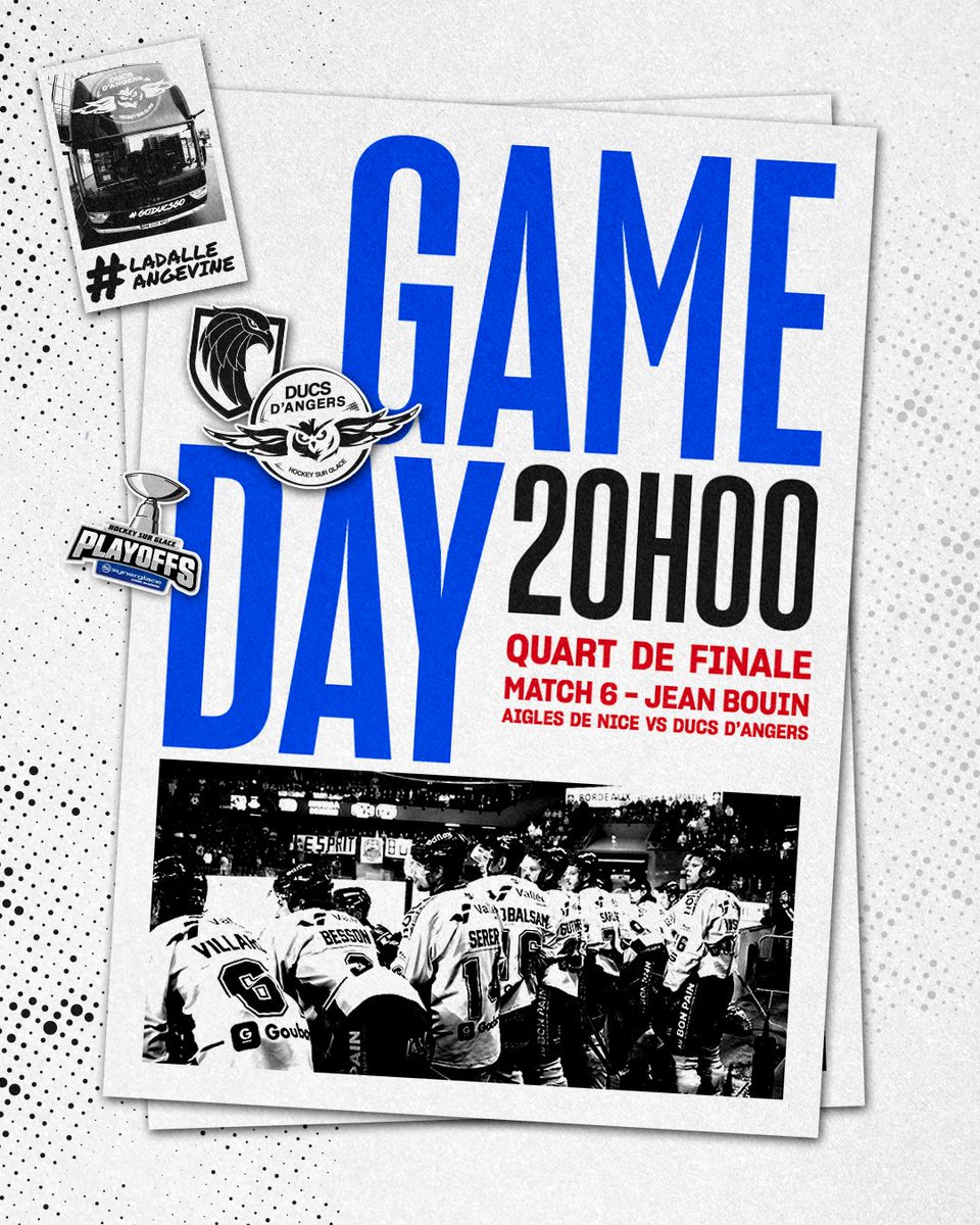 Les Ducs d'Angers tweet media