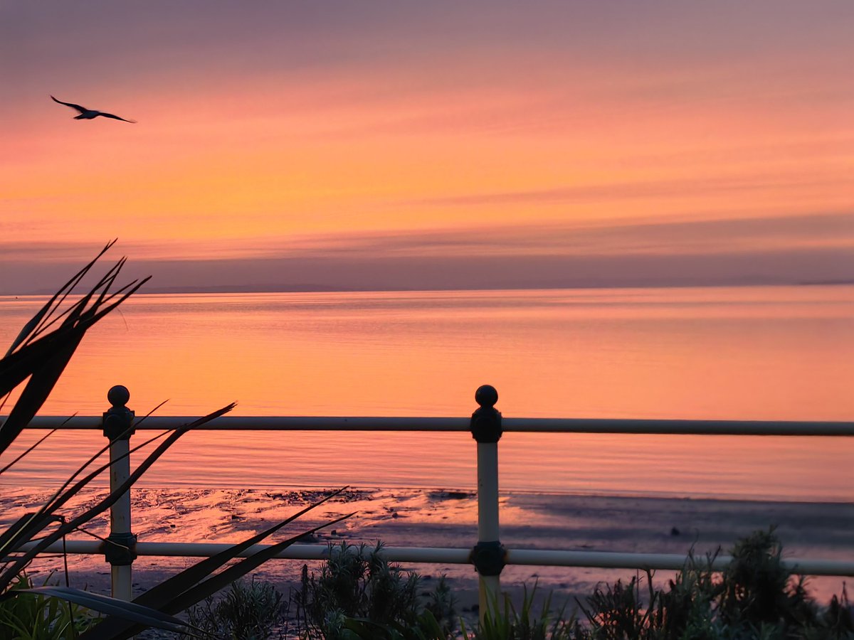 Nadezna Mandhari tweet media