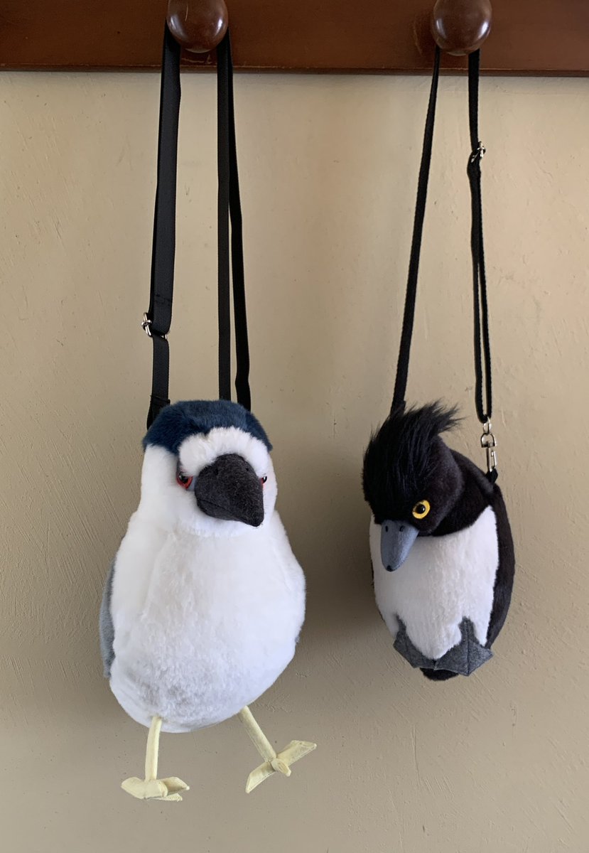 もふもふとり工房 tweet media