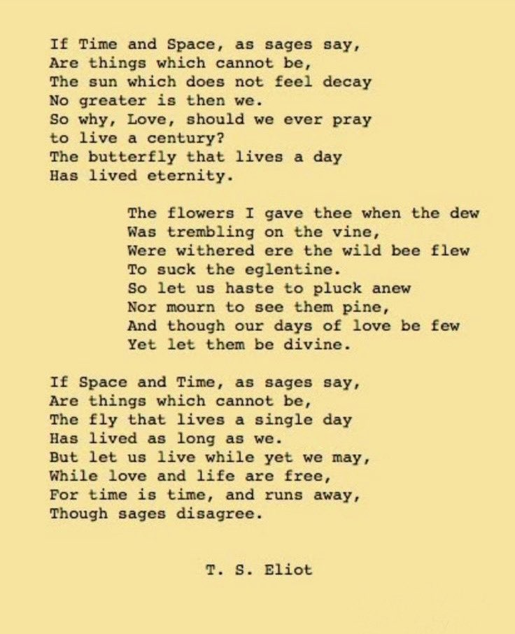 𝓢𝓪𝓻𝓪 tweet media