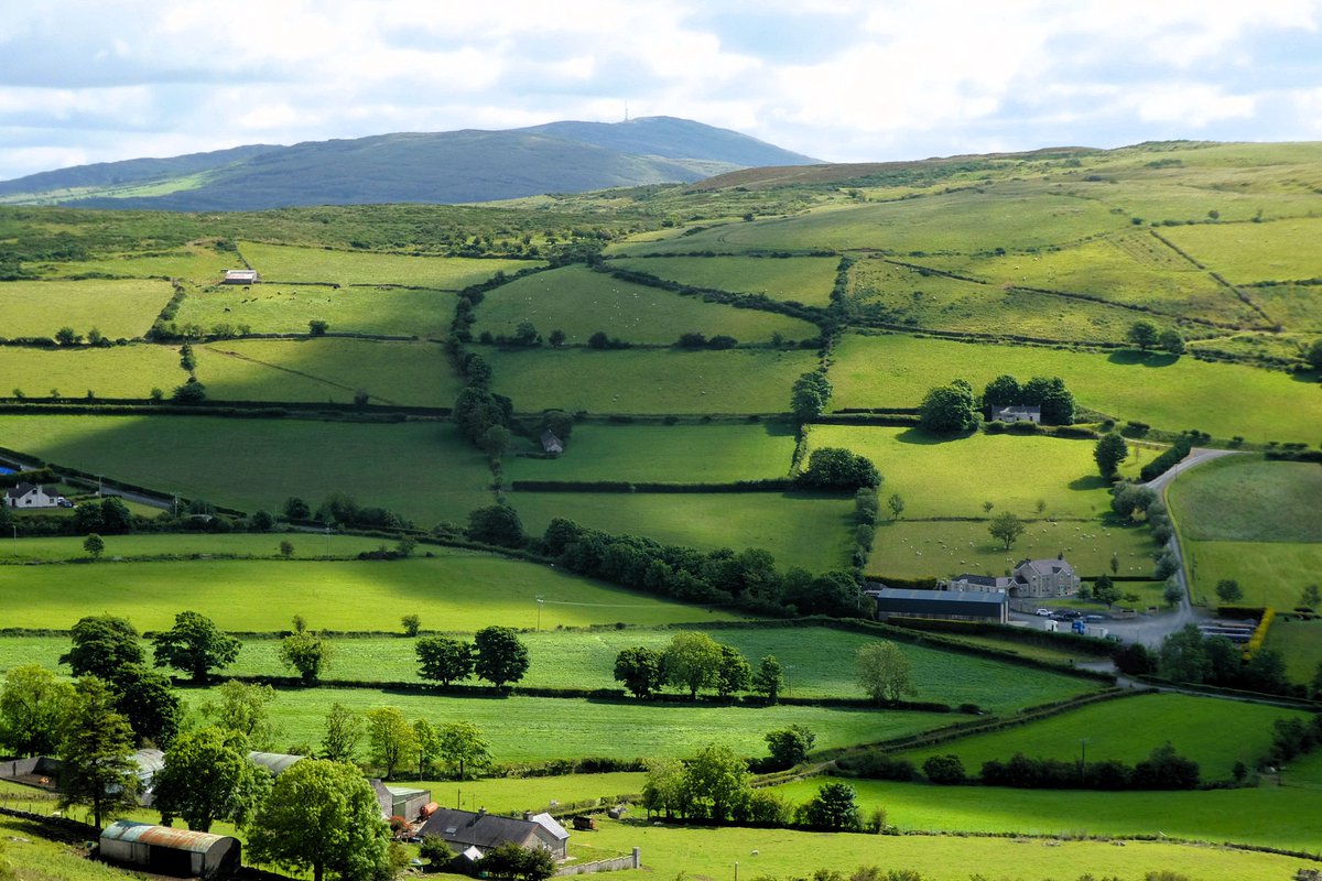 Derek Flack tweet media