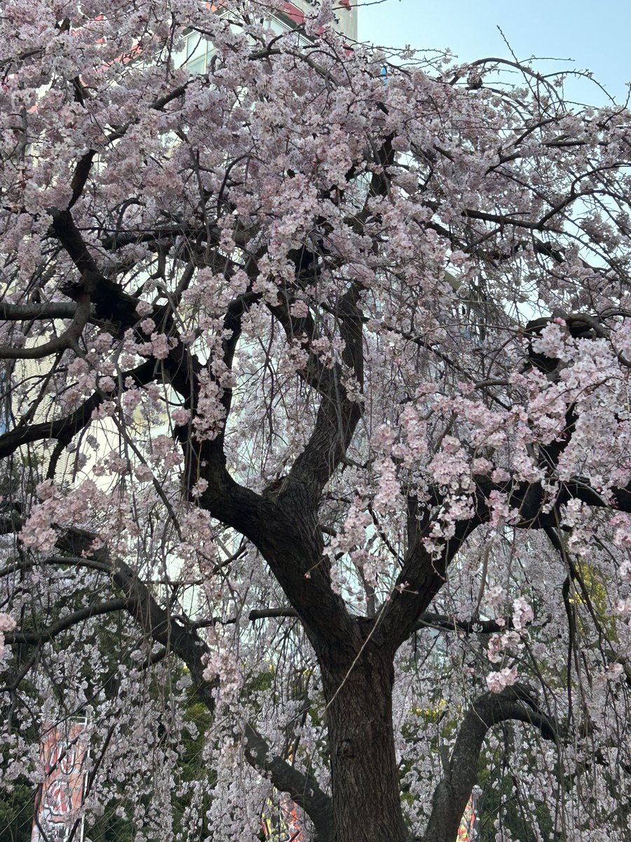 みなちん tweet media