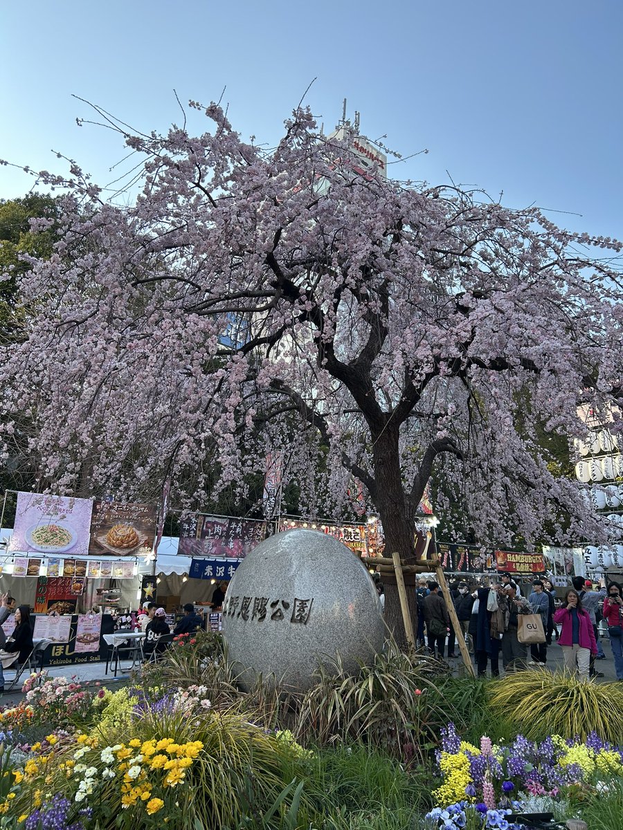 みなちん tweet media