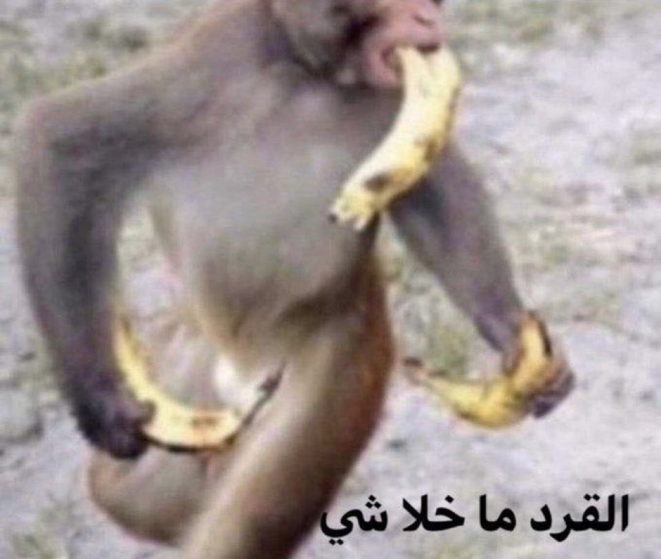 Mohammed tweet media