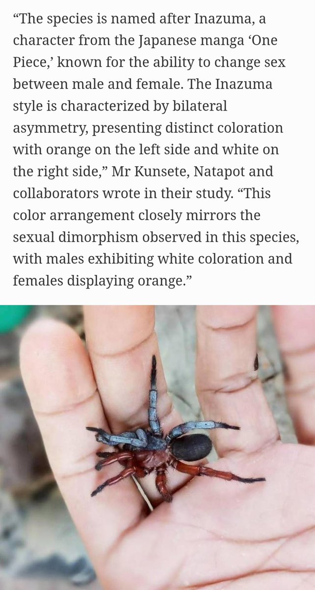 Mugiwara_03🏴‍☠️ tweet media