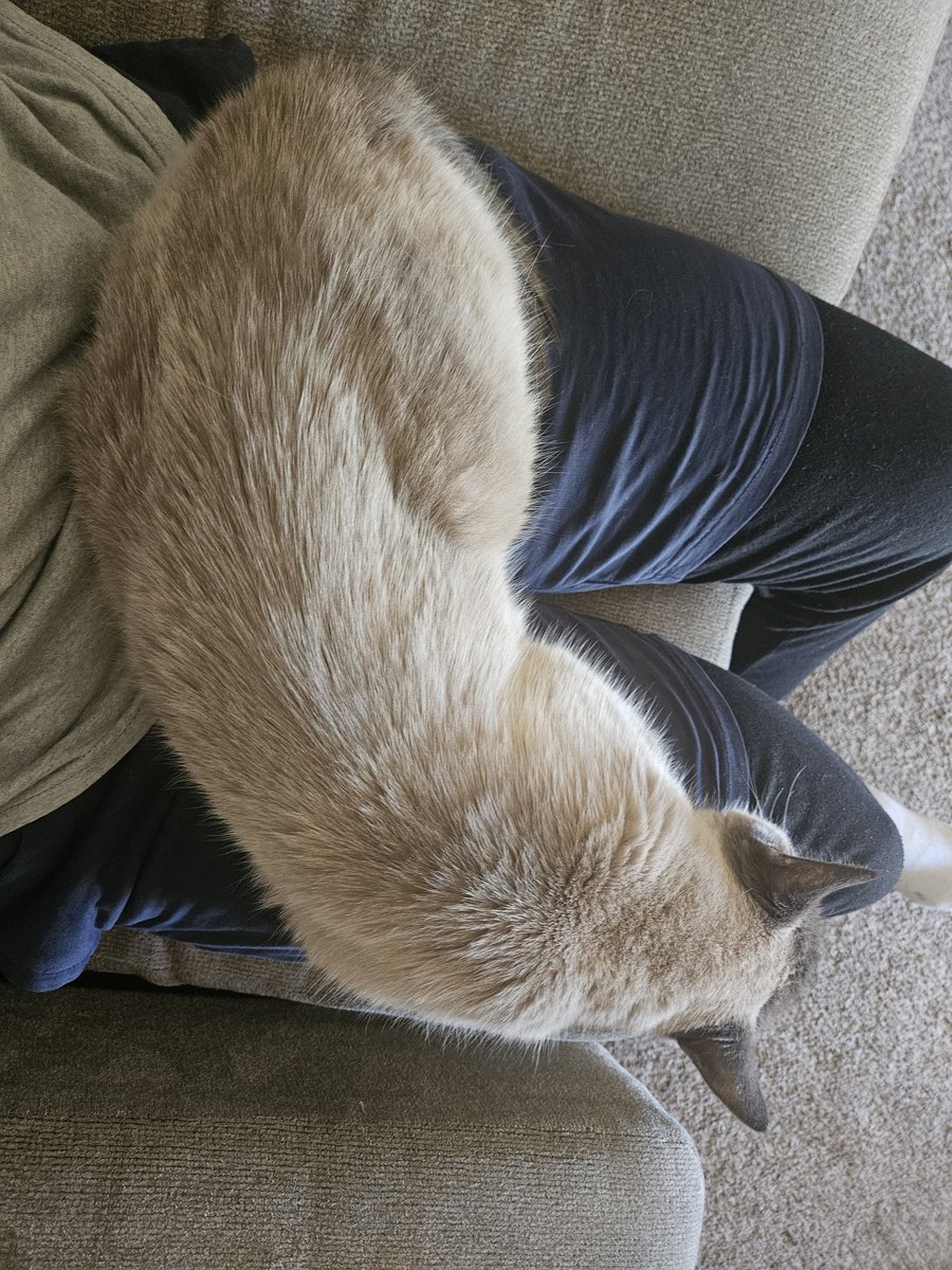 water sandwich tweet media