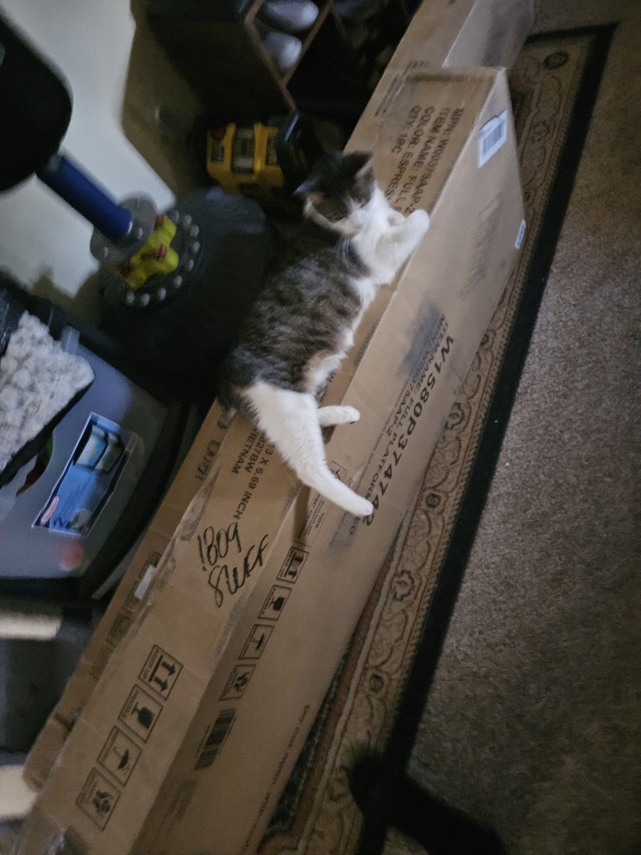 water sandwich tweet media