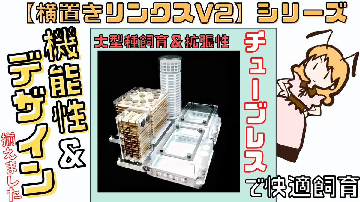 あり巣 in underground|失敗しにくいアリの巣を販売中 tweet media