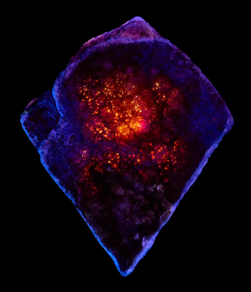 Dead By Daylight Updates tweet media