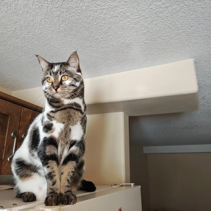 𝒥𝑒 tweet media